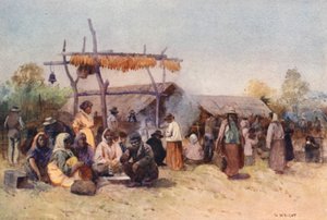 Új-Zéland: (színes litográfia)