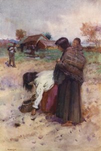 Új-Zéland: (színes litográfia)