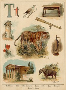 T betű (chromolitho) alkotó: Walter Zweigle