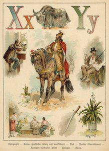 X és Y betű (chromolitho)