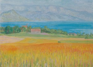 Kornfeld am Attersee alkotó: Walther Gamerith