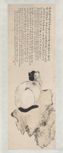 Macska. alkotó: Wang Li