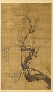 Prunus a holdfényben alkotó: Wang Mian