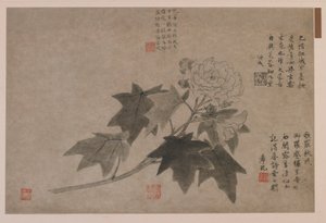 Hibiszkusz, 1347. alkotó: Wang Yuan