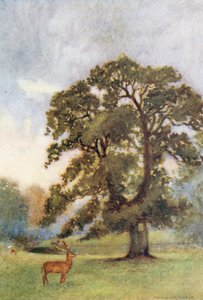  alkotó: Warwick (after) Goble