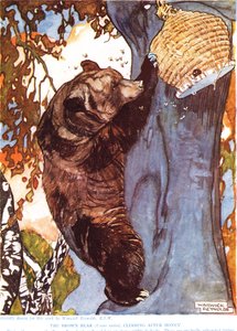 A barnamedve (Ursus arctos), méz után mászik, illusztráció John Arthur Thompson (1861-1933) "The New Natural History" című művéből, kiadó: G.P. Putnam