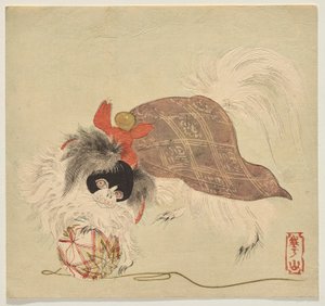 Lila köpenyes japán csin kutya, selyemszál labdával játszik