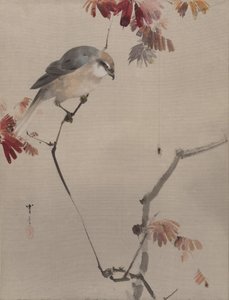 Bird on Branch Watching Spider, kb. 1887.