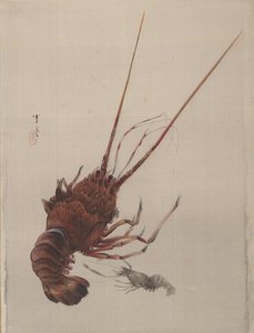 Rák, kb. 1887.