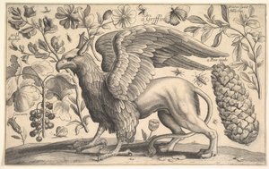 Egy griff, 1625-77. alkotó: Wenceslaus Hollar