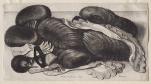 Egy csoport muff alkotó: Wenceslaus Hollar