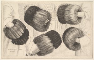 Muff öt nézetben, 1645-46. alkotó: Wenceslaus Hollar