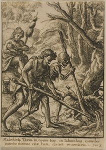 Adam szántó alkotó: Wenceslaus Hollar