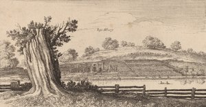 Albury, 1645. alkotó: Wenceslaus Hollar