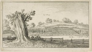 Albury fatönkövel az előtérben alkotó: Wenceslaus Hollar