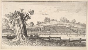 Albury fatönkövel az előtérben, 1625-77. alkotó: Wenceslaus Hollar