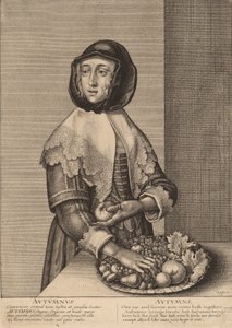 1641 ősz. alkotó: Wenceslaus Hollar