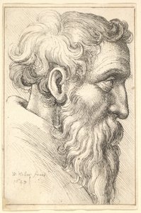 Szakállas öregember jobbra néző profilban alkotó: Wenceslaus Hollar