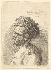 Egy torz hajú, göndör hajú nő mellképe balra, 1665. alkotó: Wenceslaus Hollar