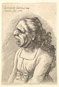 Tátott szájú, vállára omló, hosszú göndör hajú nő mellszobra..., 1665. alkotó: Wenceslaus Hollar