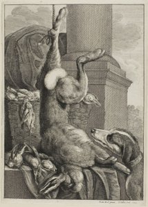 Döglött nyúl alkotó: Wenceslaus Hollar