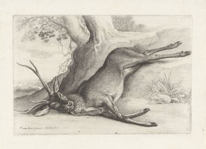 lelőtt szarvast Vadászat, vadászkutyák és vadak (sorozat címe) alkotó: Wenceslaus Hollar