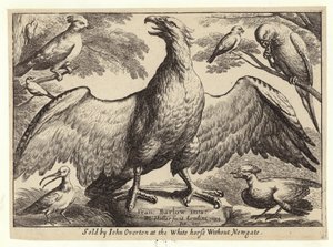 Sas és más madarak alkotó: Wenceslaus Hollar