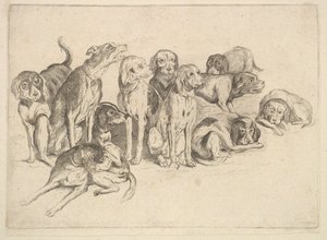 Tizenegy kopó, 1625-77. alkotó: Wenceslaus Hollar