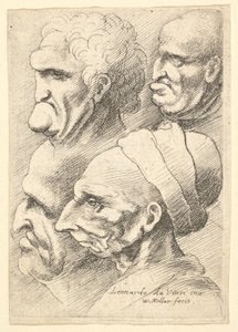 Négy groteszk fej profilban balra, 1625-77. alkotó: Wenceslaus Hollar