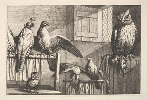 Sólymok és baglyok, 1625-77. alkotó: Wenceslaus Hollar