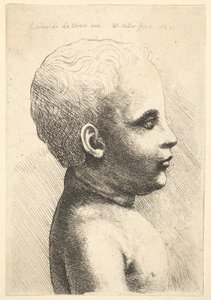 Gyermek feje és válla, profilban jobbra, 1645. alkotó: Wenceslaus Hollar