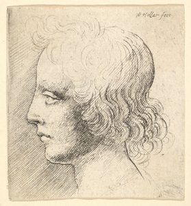 Fiatal férfi feje alkotó: Wenceslaus Hollar