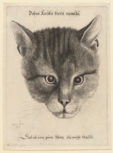 Macskafej, közepes méret alkotó: Wenceslaus Hollar