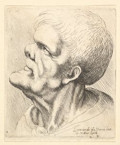 Férfi feje kiálló állal és gunyoros orral, profilban balra felfelé néz, 1625-77. alkotó: Wenceslaus Hollar