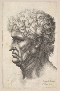 Egy dús göndör hajú férfi feje profilban balra, 1640-49. alkotó: Wenceslaus Hollar