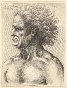 Egy izmos öregember feje profilban balra, hullámzó hajjal, 1625-77. alkotó: Wenceslaus Hollar