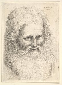 Nagy szakállú öregember feje alkotó: Wenceslaus Hollar