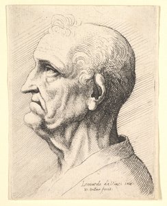 Egy idős férfi feje, füle körül göndör hajfürtök profiljában balra, 1644-52. alkotó: Wenceslaus Hollar