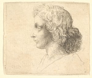 Hosszú hajú fiatalember feje balra, 1644-52. alkotó: Wenceslaus Hollar