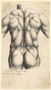 Meztelen férfi törzs hátulról nézve, 1645. alkotó: Wenceslaus Hollar