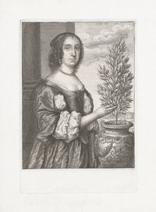 Egy babérnövény mellett álló nő portréja alkotó: Wenceslaus Hollar