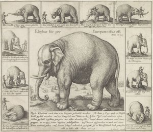 Illat is van Egy elefántot láttak itt Európában (cím a tárgyon) alkotó: Wenceslaus Hollar