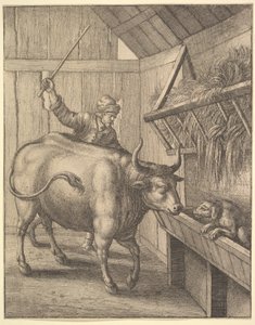A kutya a jászolban az illusztrációtól: John Ogilbys Æsopics: Or A Second Collection..., 1666. alkotó: Wenceslaus Hollar