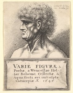 A Variety of Figures & Probes címlapja, 1645