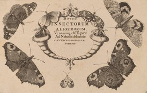 Címlap. alkotó: Wenceslaus Hollar