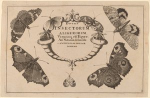 Címlap alkotó: Wenceslaus Hollar