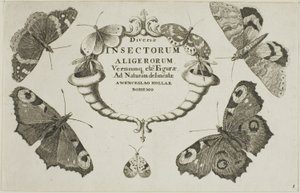 Címlap a Vegyes rovarokból alkotó: Wenceslaus Hollar