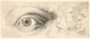 Két szem és két fej, 1644-52. alkotó: Wenceslaus Hollar