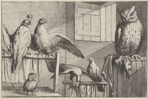 Sólymok és baglyok egy istállóban Diversae avium fajok (sorozat címe) Különböző madarak (sorozat címe) alkotó: Wenceslaus Hollar