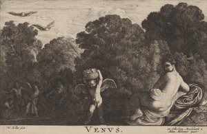 Vénusz. alkotó: Wenceslaus Hollar
